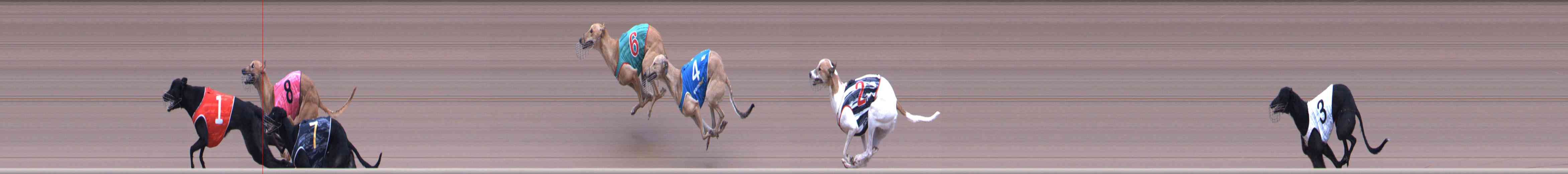 Race result finish photo
